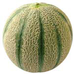 Natoora France Charentais Melon