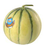 Natoora France Philibon Melon