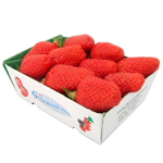 Natoora Gariguette Strawberries