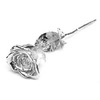 natural Rose Covered in Pure Silver