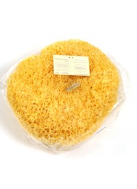 Natural Sea Sponge Extra Large Honeycomb Sponge