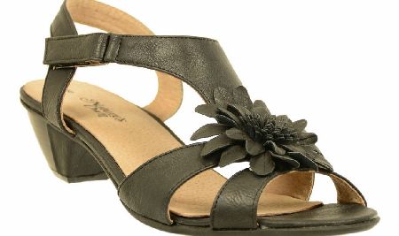 NATURE`S OWN Jill Black Low Heel Sandal