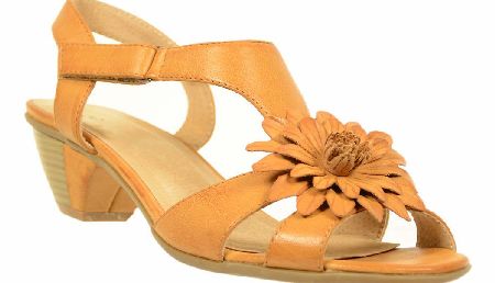 NATURE`S OWN Jill Tan Low Heel Sandal