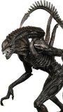 ALIEN VS PREDATOR REQUIEM - SERIES 1 7" Alien Warrior FIGURE