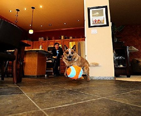 NETPROSHOP ChuckIt Indoor Game Ball 1 piece diameter 11cms