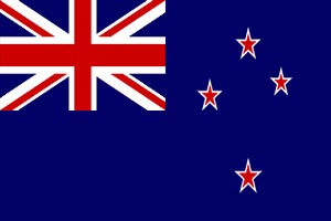 New Zealand paper flag, 11`` x 8``