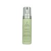 Nexxus Phyto Organics Ambient Volumizing Foam