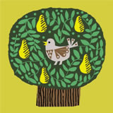 Nigel`s Eco Store 10 pack of Recycled Christmas cards - Partridge