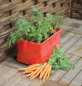 Nigel`s Eco Store 2 Carrot Patio Planters - grow your own fresh