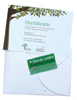 Nigel`s Eco Store Forest and Wildflower Gift Pack - sponsor a tree