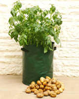 Nigel`s Eco Store Potato Patio Planter pack of 3 - grow your own
