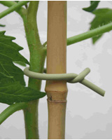 Nigel`s Eco Store Slim Soft-Tie - support or secure your plants