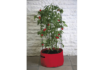 Tomato Patio Planter with support