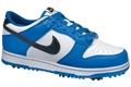 Nike Golf Dunk NG Junior Golf Shoes SHNI116