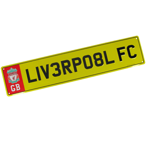 Liverpool Metal Number Plate Sign (11cm x 52cm)