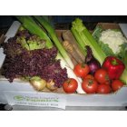 Large Organic Veg Box