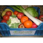 North Country Organics Standard Organic Mixed Box