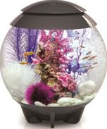 Oase BiOrb HALO 30 LED Moonlight Grey