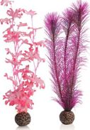 Oase BiOrb Kelp SET (Medium Pink)