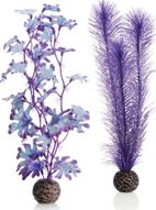 Oase BiOrb Kelp SET (Medium Purple)