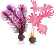 Oase BiOrb Kelp SET (Small Pink)