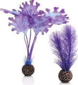 Oase BiOrb Kelp SET (Small Purple)