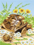 Reeves Painting by Numders Junior - Tortoise
