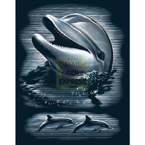Oasis Reeves Silver Scraperfoil Dolphins Portrait