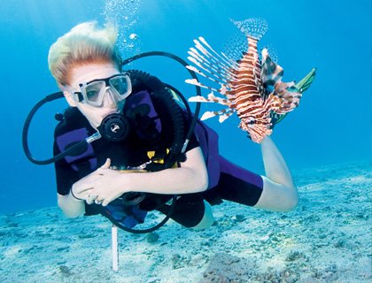 Ocean College - Scuba Diving In Sharm El Sheikh Ocean College Discover Scuba Diving - Half Day