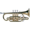 Cornet Bb Outfit with ABS Case