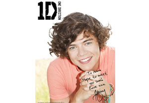 One Direction Personalised Poster - Harry