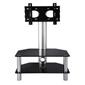 Black Glass Cantilever Stand for
