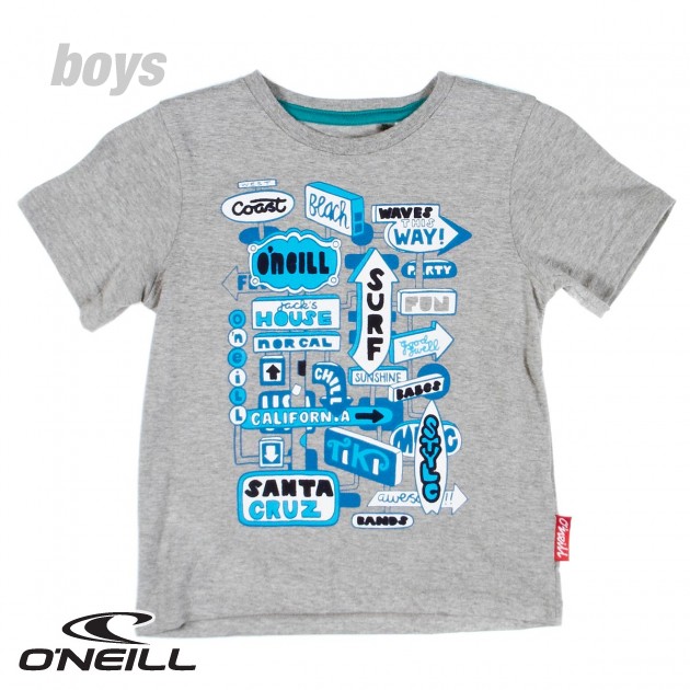 Boys ONeill Point T-Shirt - Silver Melee