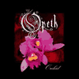 Opeth Orchid Hoodie