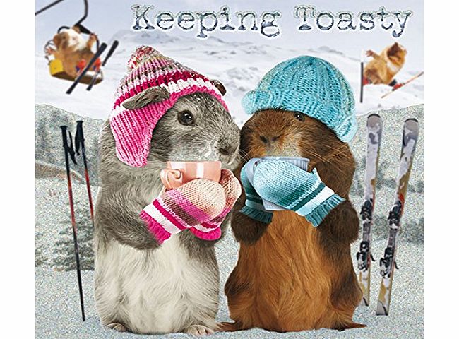 Otter House Guinea Pigs ``Keeping Toasty`` Festive Christmas Card Pack (10 Card Pack)