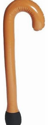 Pams Inflatable Walking Stick
