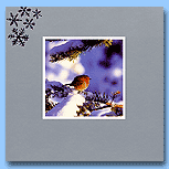 Paperlink Robin in Snow