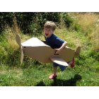 Paperpod Recycled Cardboard Aeroplane