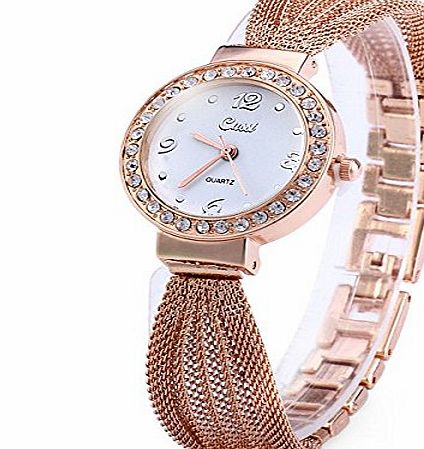 ParaCity Ladies Diamond Quartz Watch with Round Dial Steel Net Strap