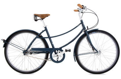 Penny Hybrid Bike