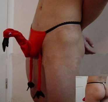 Passion World New Red And Black Chicken Cock Mens amp; Gays Posing Pouch Fancy Dress Costume Stag Do Male Stripper