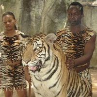 Pattaya Sightseeing Tiger Zoo