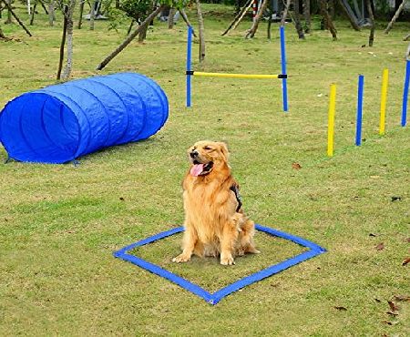 Pawhut  Pet Agility Training Equipment Dog Play Run Jump Obedience Training Set Adjustable (Poles   Hurdle   Tunnel   Lunch Box)