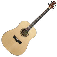 Peavey DW2 Acoustic Guitar