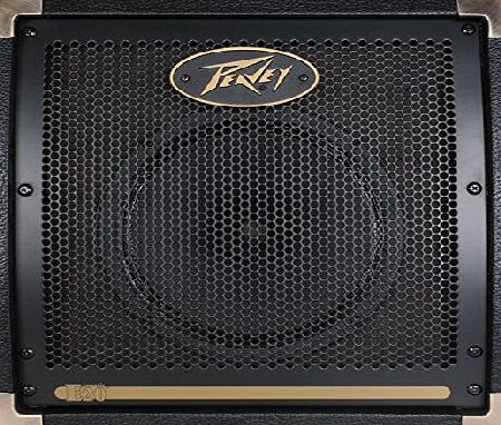 Peavey Ecoustic E20 Acoustic Guitar Amp