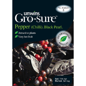 Pepper (Chili) Black Pearl Vegetable Seeds