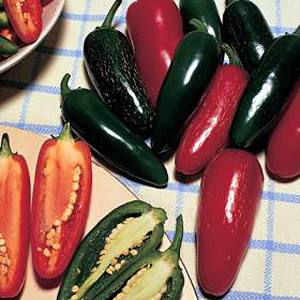 pepper Chili Jalapeno Summer Heat Seeds