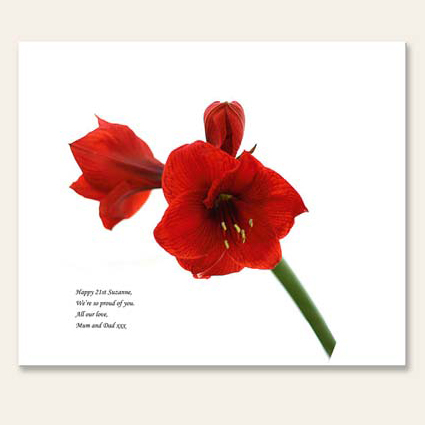 personalised Birthday Message Flower Canvas Print