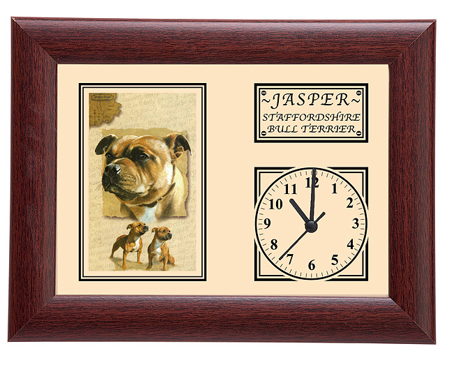 Framed Dog Breed Clock - Staffordshire Bull Terrier