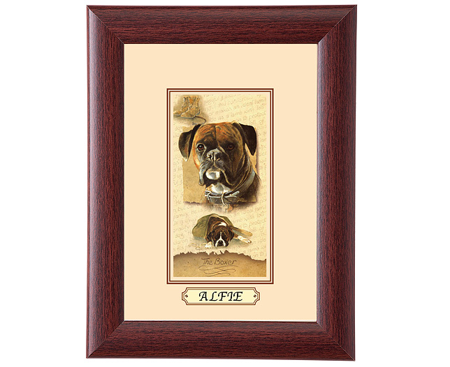personalised Framed Dog Breed Picture - Boxer